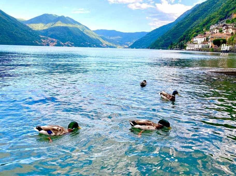 Una Finestra Sul Lago Argegno Exterior foto